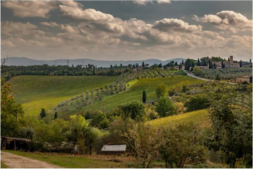 Arezzo